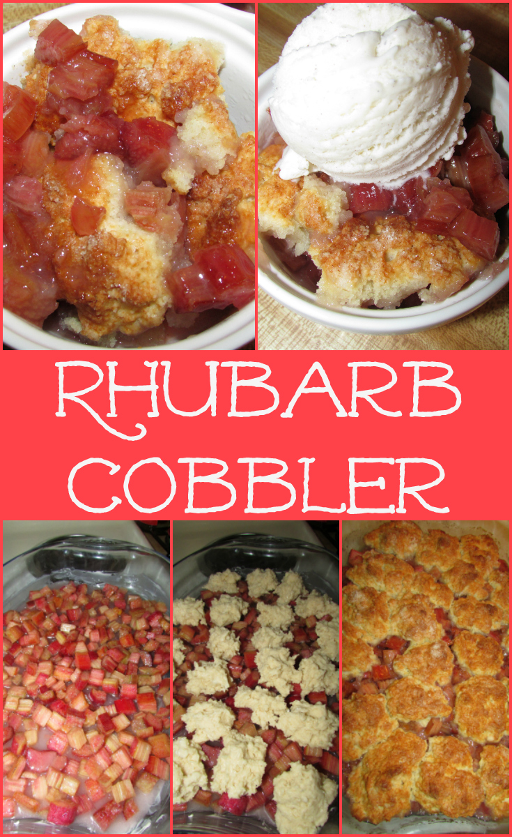 https://www.4theloveoffoodblog.com/wp-content/uploads/2013/09/rhubarbcobbler.jpg