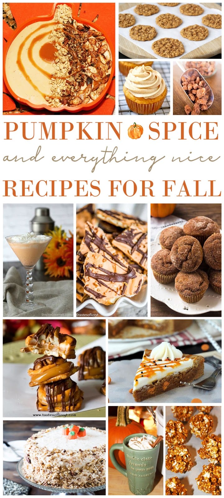 Pumpkin Spice and Everything Nice Recipes For Fall - For the Love of Food