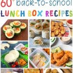 60+ Back to School Lunch Box Recipe Ideas