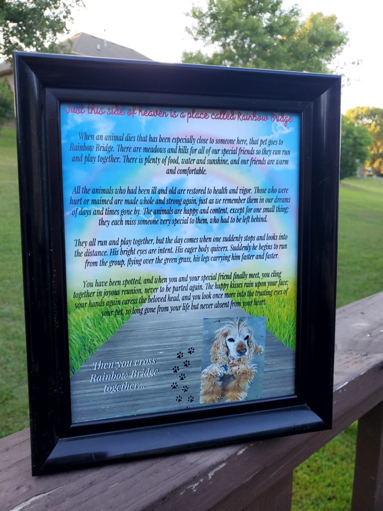 rainbow bridge poem for dogs printable