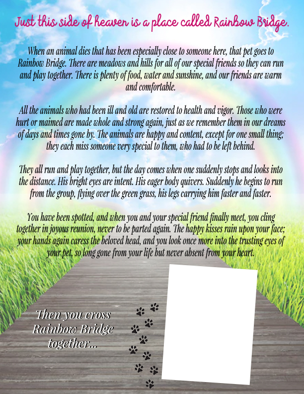 Printable Rainbow Bridge Memorial Pet Poem For The Love Of Food