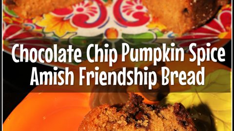Chocolate Chip Pumpkin Spice Amish Friendship Bread | Printable Recipe  Cards - For the Love of Food