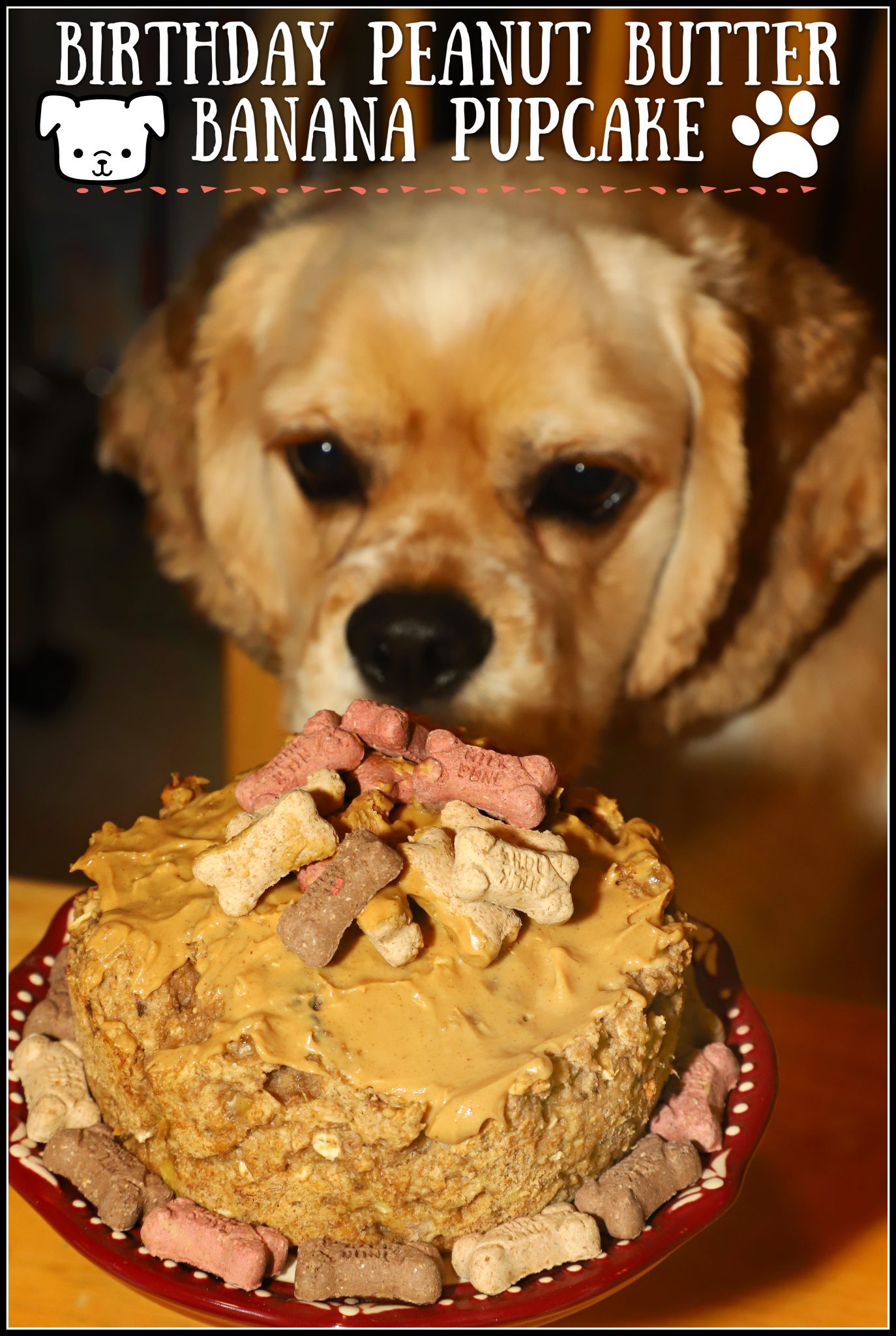 Yummy Cashew Butter and Banana Dog Birthday Cake