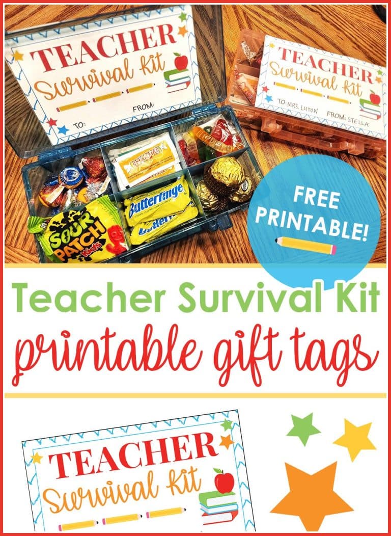 Teacher Survival Kit In A Can – Jemsideas Novelty Gift – Thank You, End Of Term, Christmas